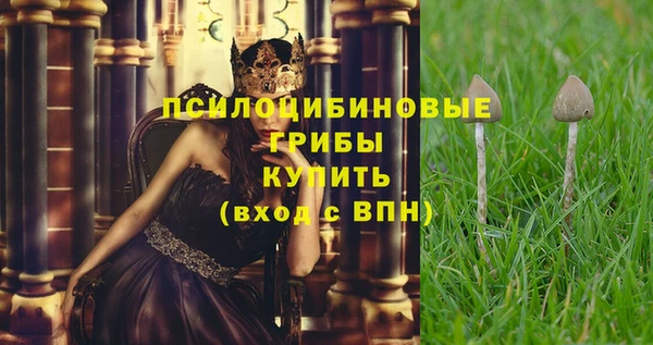 дживик Аркадак