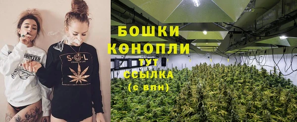 дживик Аркадак