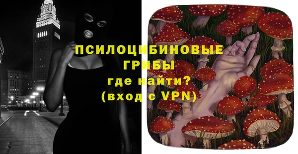 дживик Аркадак
