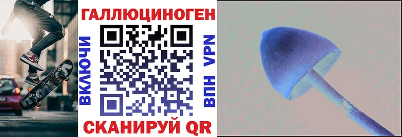 Купить где  Приволжск  Псилоцибиновые грибы Psilocybine cubensis 