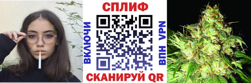 Купить закладки Приволжск МАРИХУАНА семена